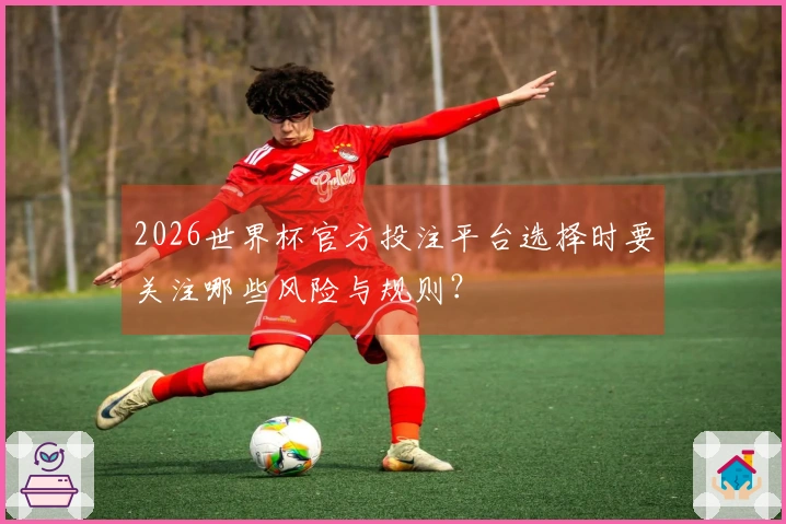 2026世界杯官方投注平台选择时要关注哪些风险与规则?