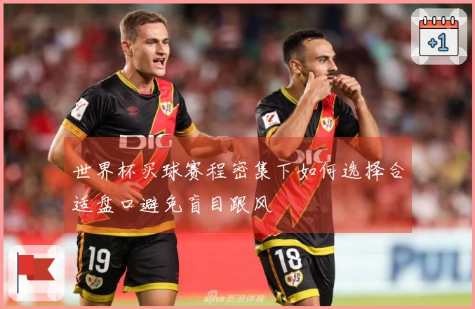 世界杯买球赛程密集下如何选择合适盘口避免盲目跟风