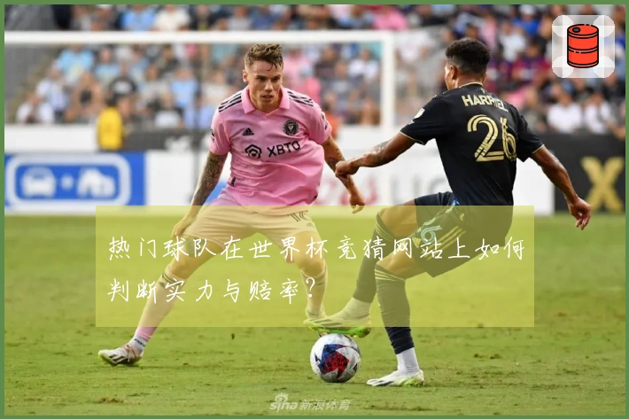 热门球队在世界杯竞猜网站上如何判断实力与赔率？