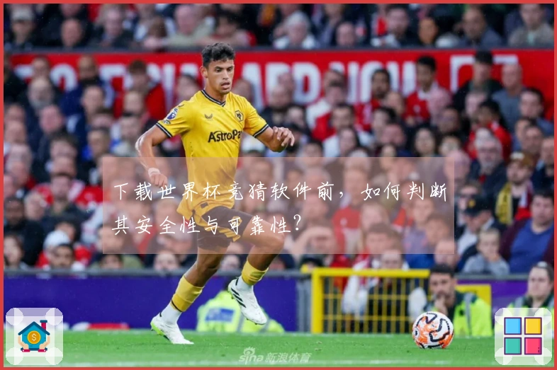 下载世界杯竞猜软件前，如何判断其安全性与可靠性？