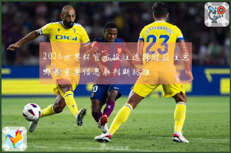 2026世界杯官方投注选择时应注意哪些重要信息和判断标准
