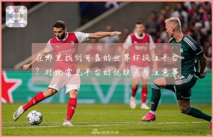 在哪里找到可靠的世界杯投注平台?对比常见平台的优缺点与注意事项