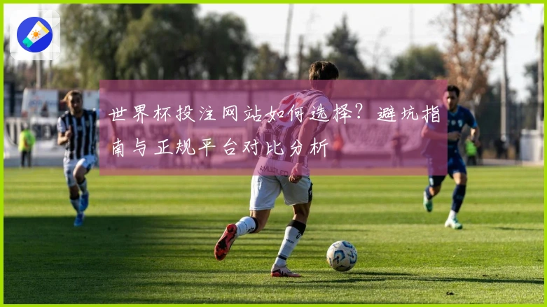 世界杯投注网站如何选择？避坑指南与正规平台对比分析