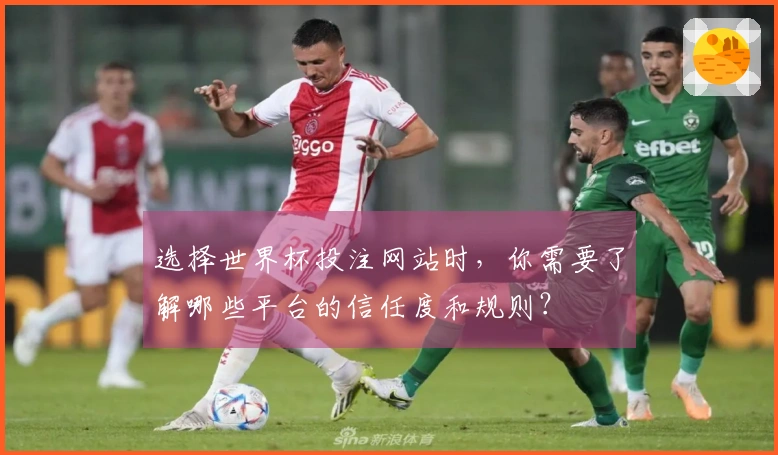 选择世界杯投注网站时，你需要了解哪些平台的信任度和规则？