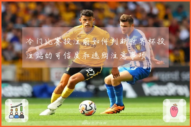 冷门比赛投注前如何判断世界杯投注站的可信度和选购注意事项
