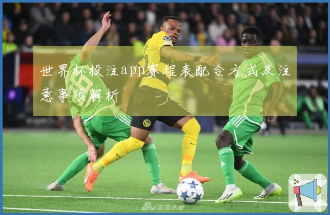 世界杯投注app赛程表配合方式及注意事项解析