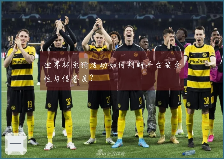 世界杯竞猜活动如何判断平台安全性与信誉度？