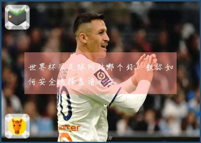 世界杯买足球网站哪个好？教你如何安全选择靠谱平台