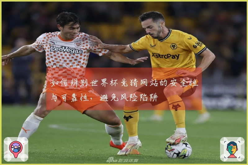 如何辨别世界杯竞猜网站的安全性与可靠性，避免风险陷阱