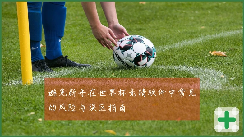 避免新手在世界杯竞猜软件中常见的风险与误区指南