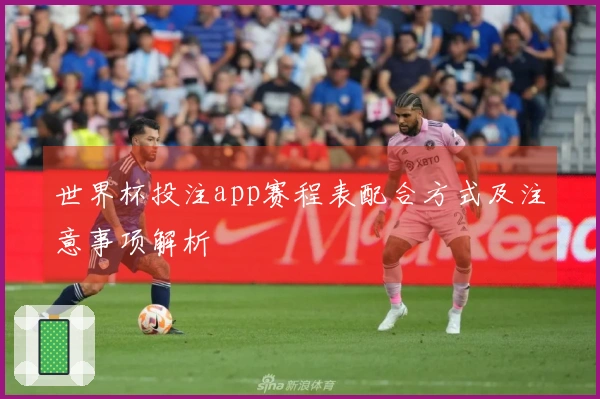 世界杯投注app赛程表配合方式及注意事项解析