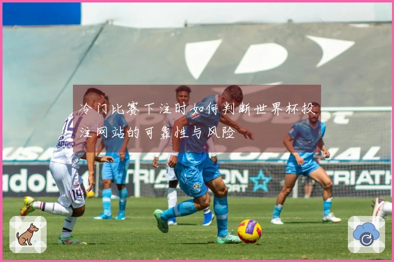 冷门比赛下注时如何判断世界杯投注网站的可靠性与风险