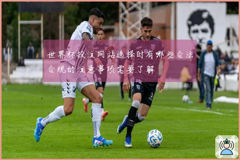 世界杯投注网站选择时有哪些合法合规的注意事项需要了解